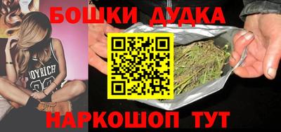 индика Лесосибирск