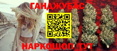 индика Лесосибирск