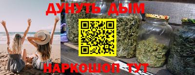 индика Лесосибирск