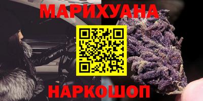 индика Лесосибирск