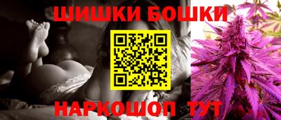 индика Лесосибирск