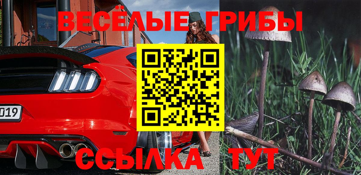 Псилоцибиновые грибы мухоморы Звенигород
